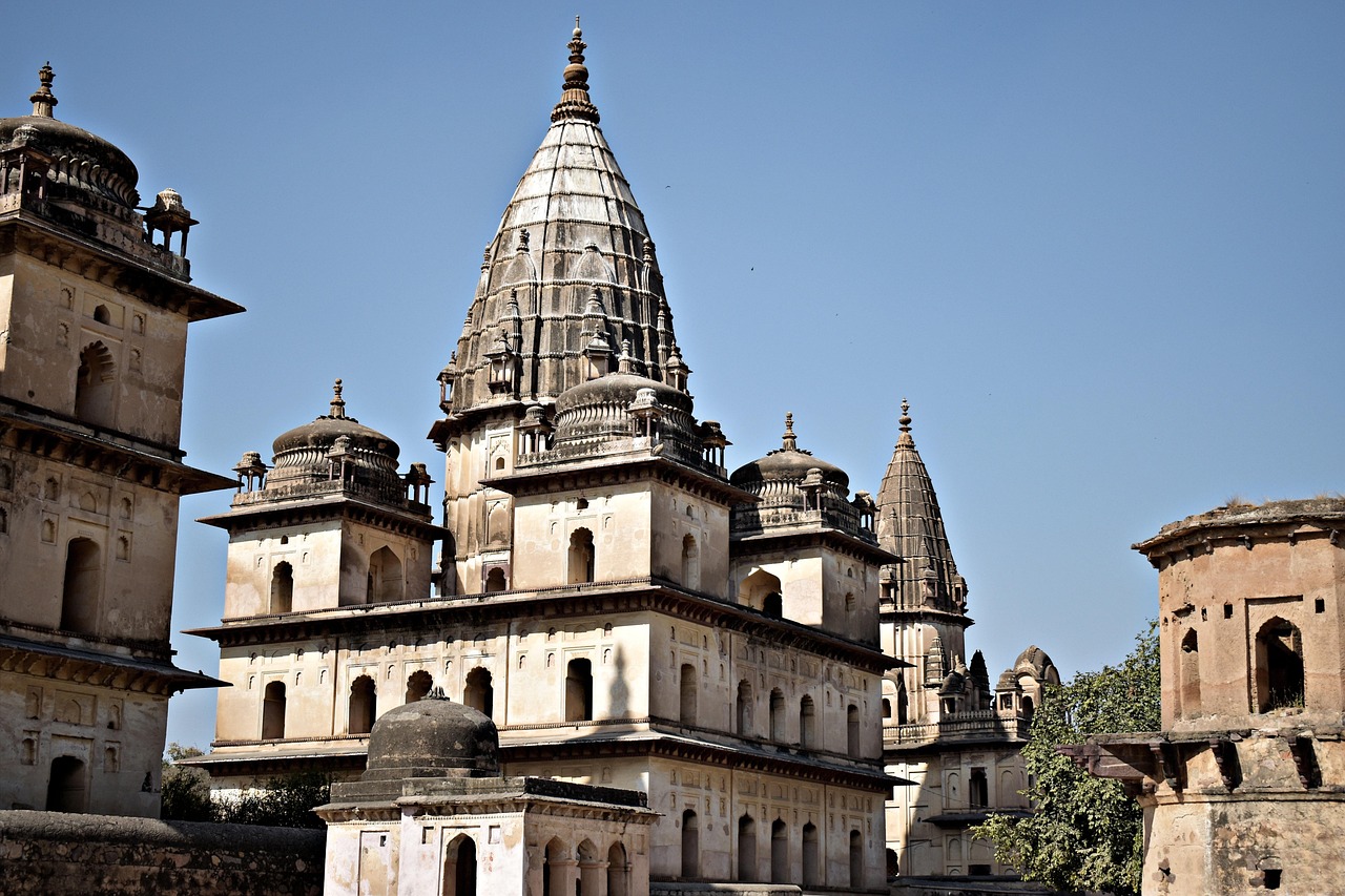 100 Percent Betting Sites in Madhya Pradesh Play: Step-by-Step Guide for India (2027)
